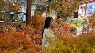 上海安福路多了一抹香松色彩，这家网红花店今日告别