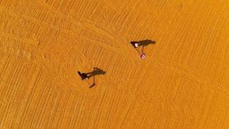 中國氣象局：北方天氣晴好利于秋收秋種，晚稻收曬防范連陰雨