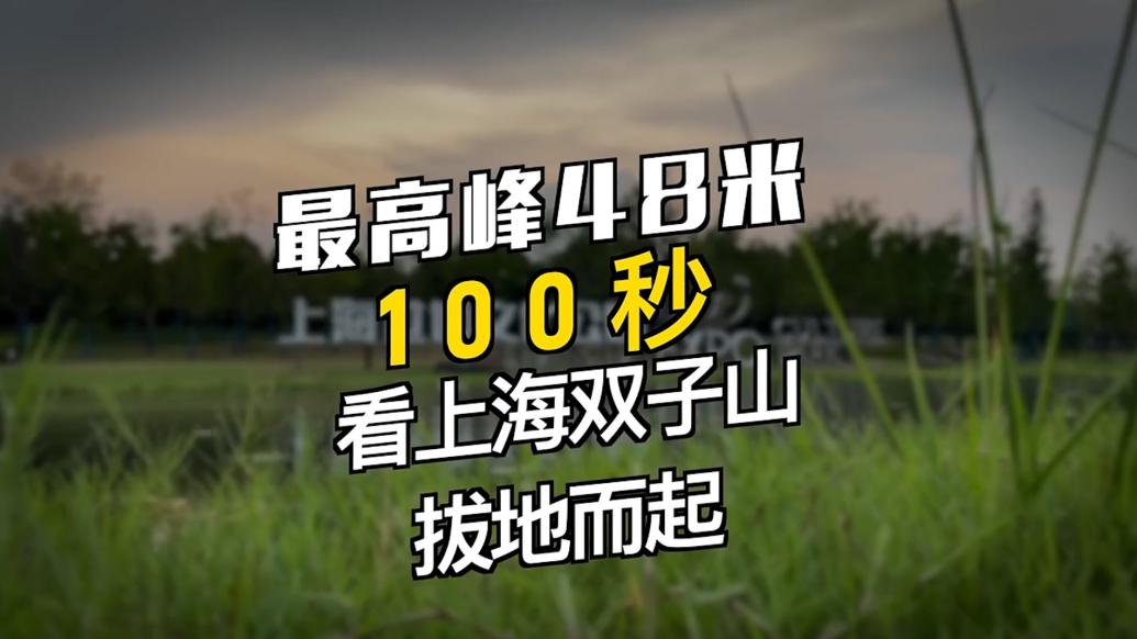 100秒带你看上海双子山拔地而起