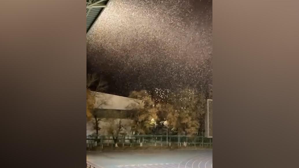 东北高校足球赛中突降大雪，网友：下雪了？广东还在吹空调呢