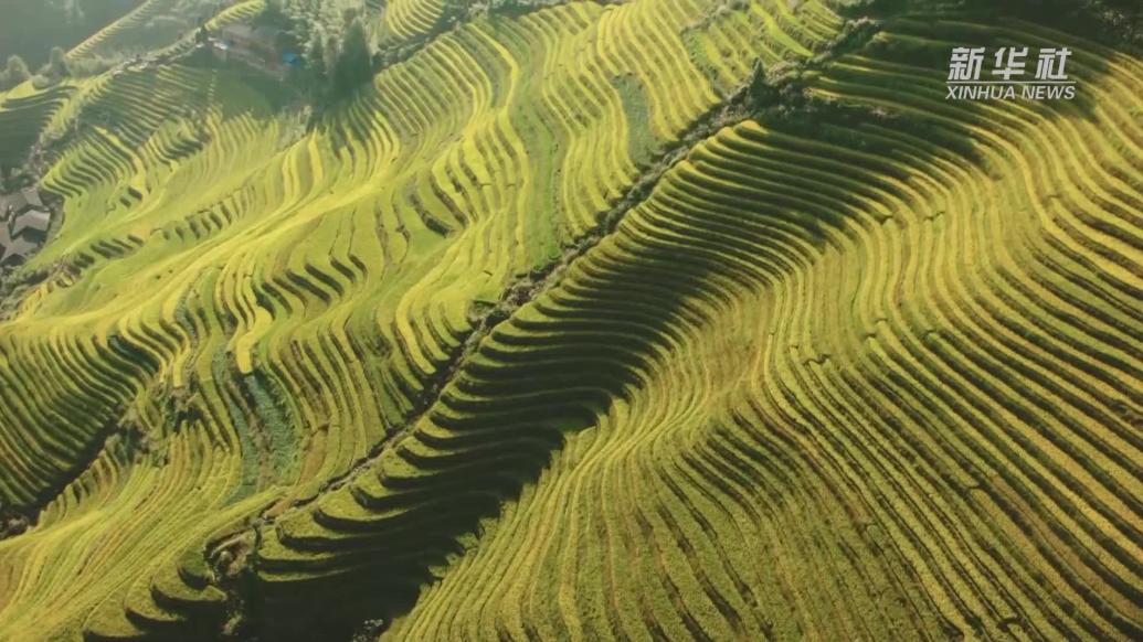 走进联合国世界旅游组织“最佳旅游乡村”——大寨村