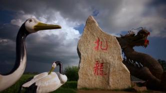 中国扎龙：野化放归，让丹顶鹤野生种群不断壮大