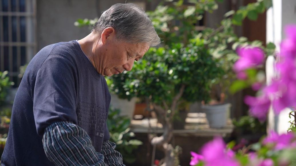 老人退休后變花匠，將院子打造成植物版“動物園”