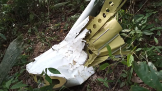 巴西一小型飞机坠毁致12人死亡