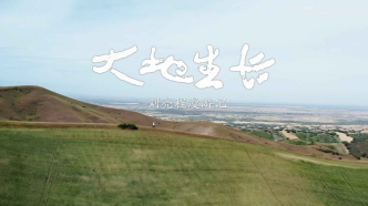 纪录片《大地生长》：跟随作家刘亮程漫游大地