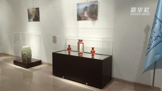 伊朗萨德阿巴德宫举办中国文化艺术藏品展