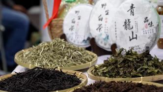 四川农博会上，茶叶展销“热”