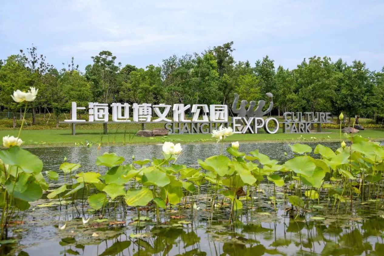 上海世博文化公园图片图片