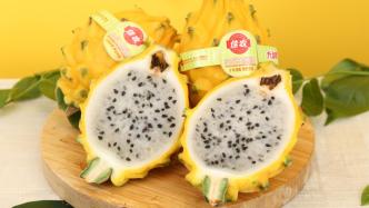 倒计时6天｜火龙果家族的“轻奢新秀”，将首次亮相进博会