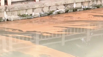 上海浦东一河道变成“罗宋汤”，会不会致病？施工项目已暂停