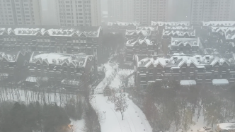 哈尔滨迎来了今年冬天的第一场大雪