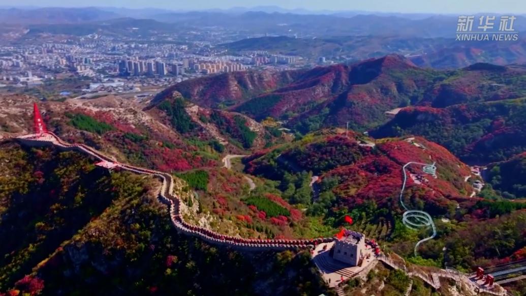 山东淄博：红叶季带旺“红叶经济”