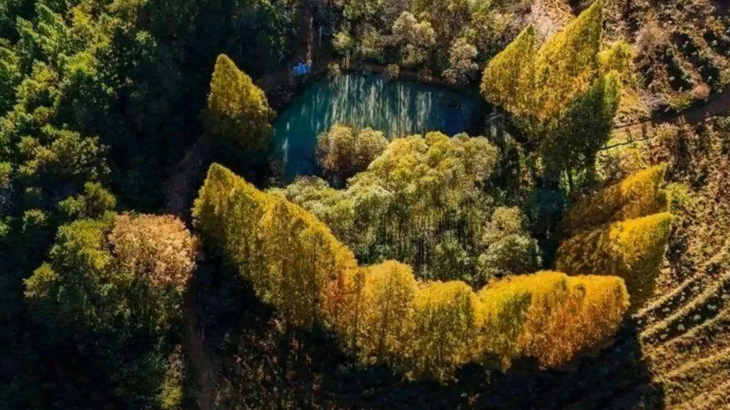 麗水版綠野仙蹤美成油畫