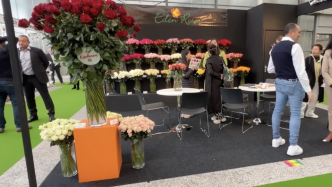荷兰举办2023国际花卉贸易展览会