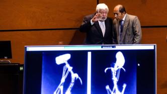 “外星人”遗骸再次亮相墨西哥国会，研究人员称曾是活物