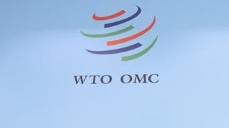 世贸组织市场准入委员会召开10月全体会议