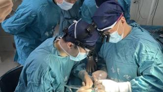 西京医院成功将1只基因编辑猪多个器官组织移植给7只受体猴