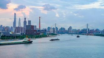 上海市民反映黄浦江出现漂浮垃圾和死鱼，绿化市容部门回应
