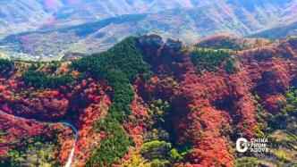 山东济南：红叶锁深秋，如在画中游
