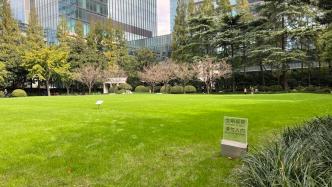 上海中心城区的大片草坪，为何不能踩？能否建统一的“可踩踏数据”？