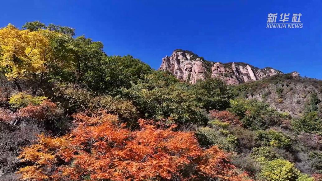 千城胜景｜河北赞皇：满山红叶，层林尽染