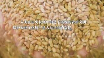 总数世界第一！中国22项农业文化遗产图鉴来了