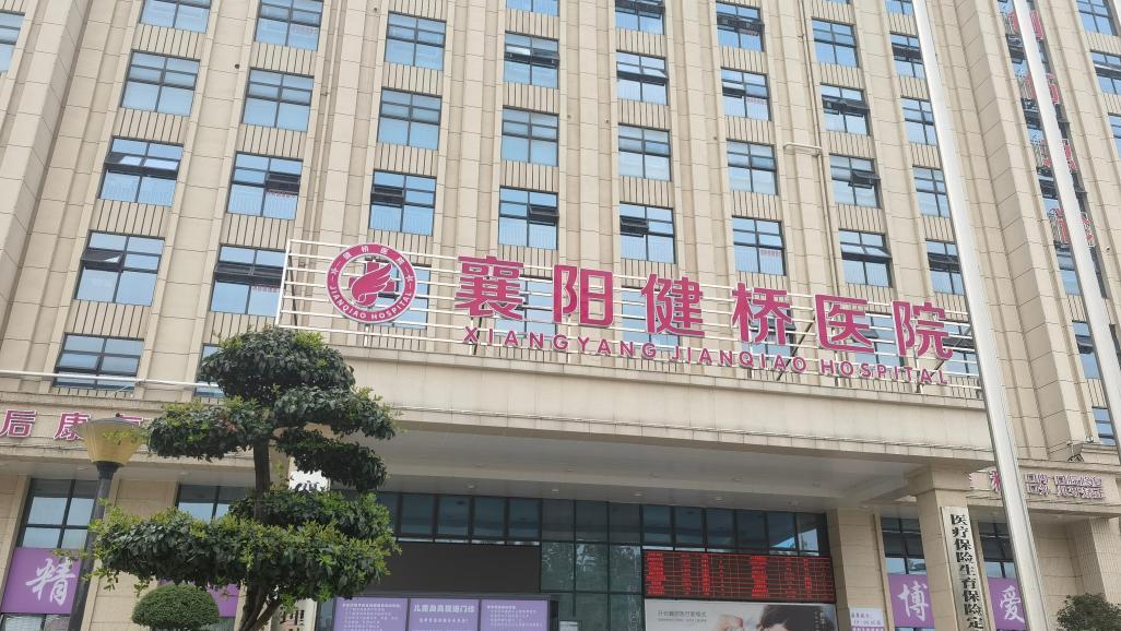 湖北襄阳健桥医院贩卖出生证，院长叶某芝等6人被批捕