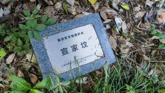上海一小区竟藏着古墓石像群，官方回应墓主后人修缮要求