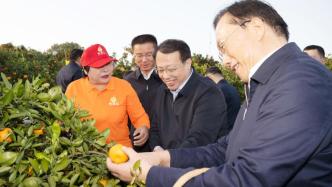 龚正市长率代表团赴重庆万州和湖北夷陵学习考察，察看上海市对口支援三峡工作