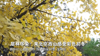 层林尽染！在北京西山感受彩色初冬