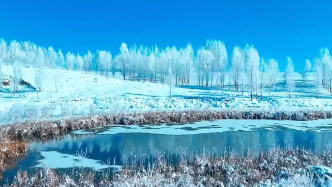新疆现大面积雾凇秒变水晶世界