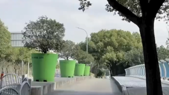 网友惊呼：比车还大，上海街头现巨型绿化盆