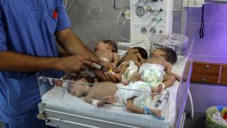 早安·世界｜加沙卫生部门，已有31名早产儿从希法医院转移