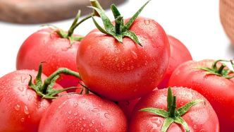 农民日报刊文：1斤番茄如何卖到1000元？
