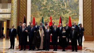王毅会见阿拉伯和伊斯兰国家外长联合代表团