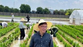 来自农村，何祖华研究水稻数十年当选中国科学院院士