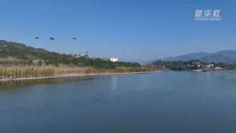 重庆开州：候鸟翩翩归湖畔