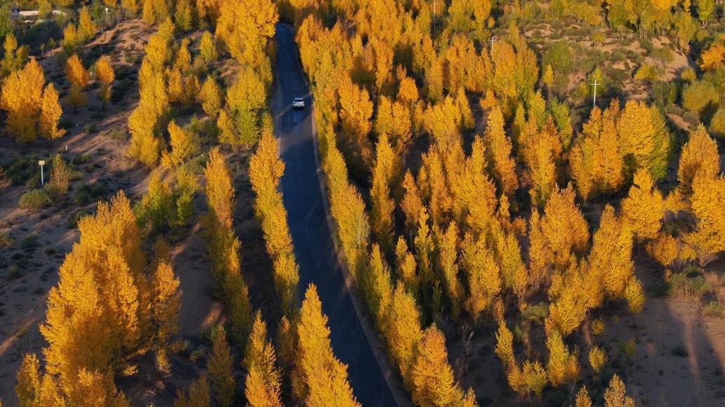 千城胜景丨大美毛乌素沙地