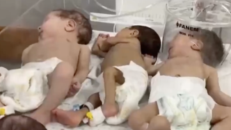 加沙希法医院31名早产儿成功疏散至加沙南部