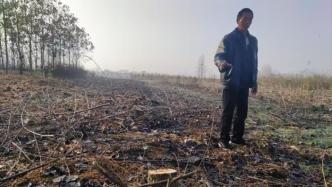 河南一公司与乡政府签约建生态林，几年后乡政府派人砍树称其违法占用耕地