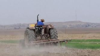 伊拉克持续干旱催生“气候移民”，农民愈发贫困