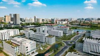 解码街镇︱集体经济土壤绽放“楼宇经济”之花，上海这个镇缘何村强民富？