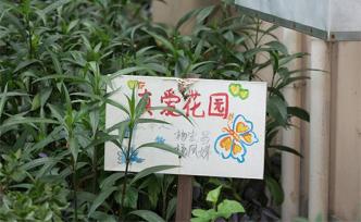 社区更新·影像｜上海中大居民区③：被植物连接起来的社区