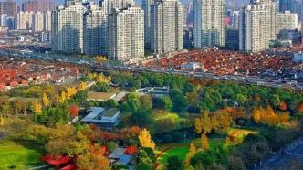 177条观景道路+11个古树名木推荐点，上海赏秋地图来了