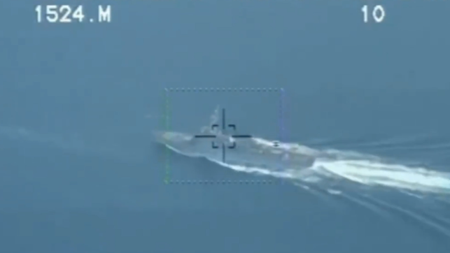 伊朗公布美国航母打击群进入波斯湾视频