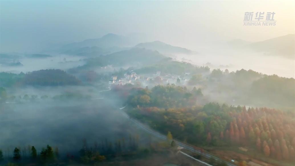 江苏溧阳：冬日云雾蒸腾，湿地宛如仙境