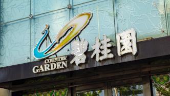碧桂园获邀参加工商银行组织的房企座谈会