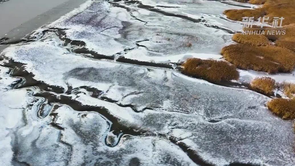 雪后的遼河口濕地風景美如油畫