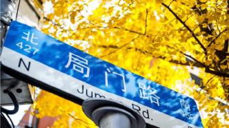 上海市中心银杏树下的听歌初体验，值得与你“双向奔赴”