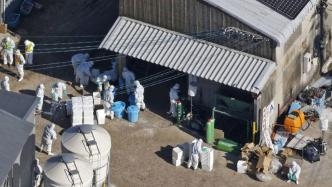 日本一养鸡场现禽流感疫情，7.2万只蛋鸡将被扑杀